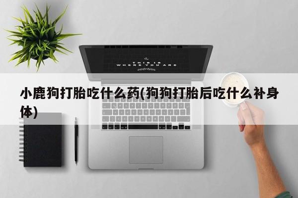 米非米索打胎药专卖微信小鹿狗打胎吃什么药(狗狗打胎后吃什么补身体)